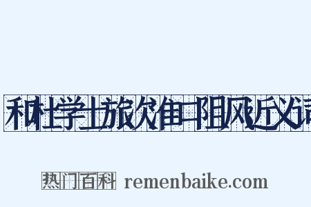 和杜学士旅次淮口阻风近义词是什么意思的图片